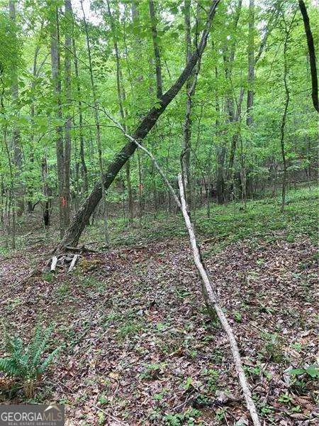 0 Crest View DR Dahlonega, GA 30533