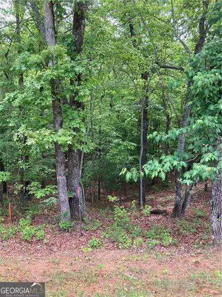 0 Crest View DR Dahlonega, GA 30533