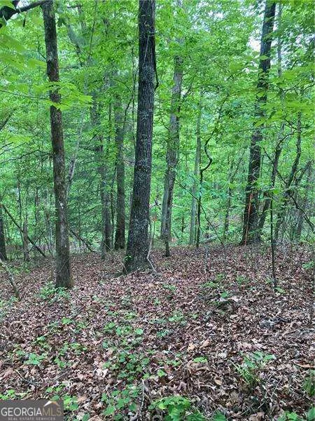 0 Crest View DR Dahlonega, GA 30533