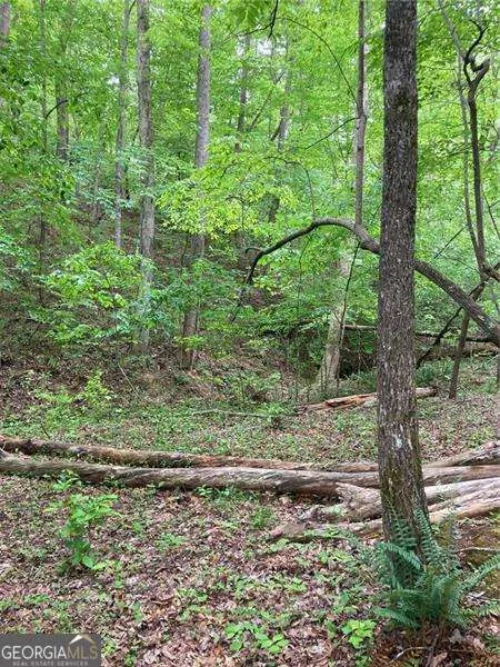 0 Crest View DR Dahlonega, GA 30533