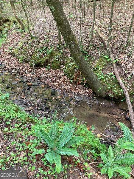 0 Crest View DR Dahlonega, GA 30533