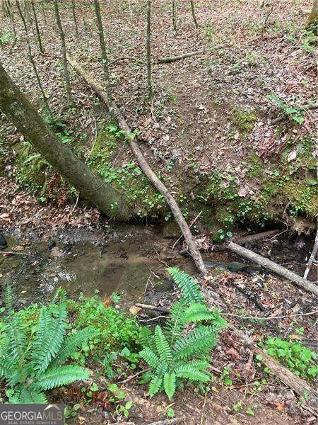 0 Crest View DR Dahlonega, GA 30533