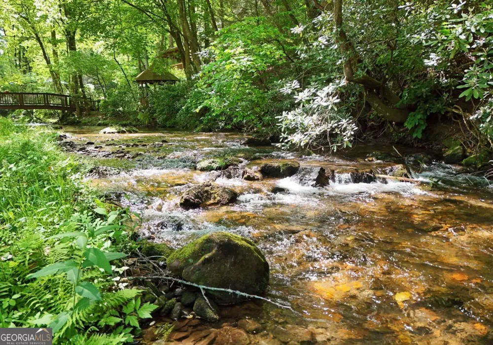 13111 Big Creek RD Cherry Log, GA 30522