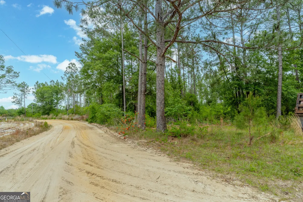 110 Lees Chapel RD Nicholls, GA 31554