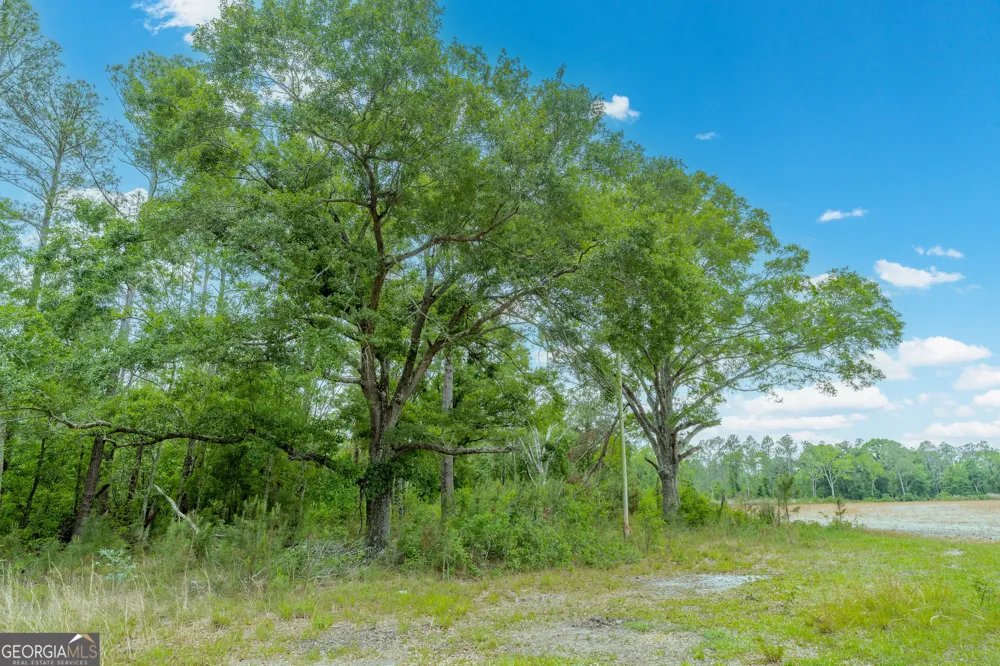 110 Lees Chapel RD Nicholls, GA 31554