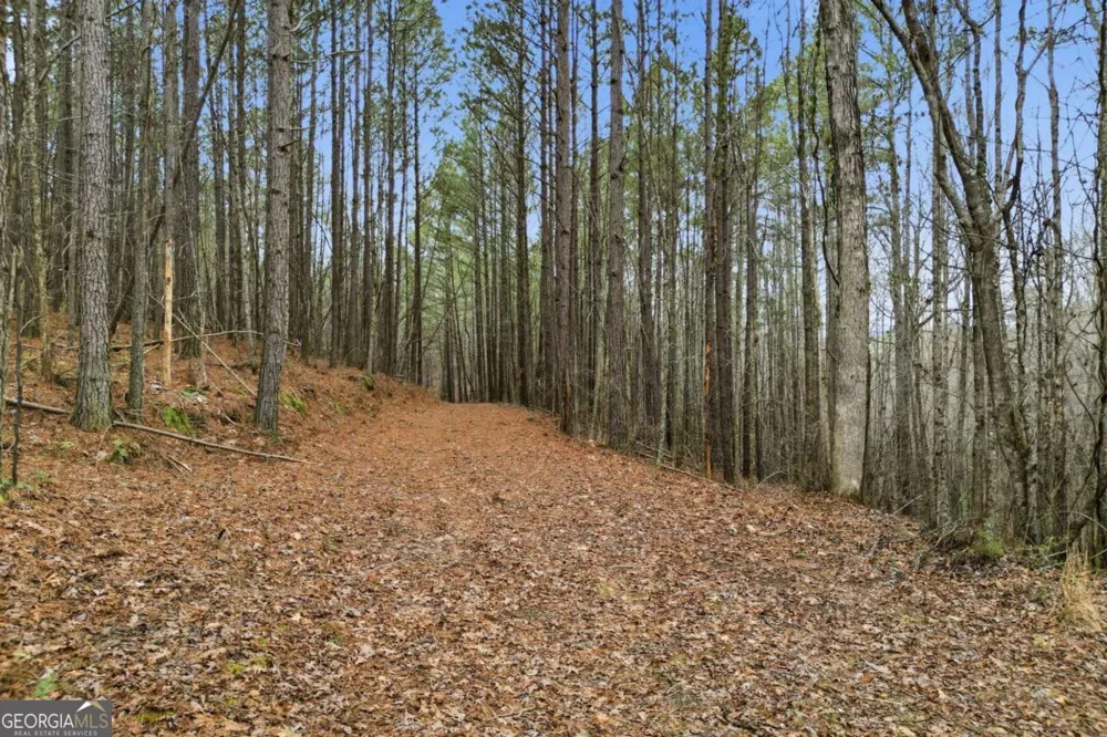 2025 Soap Creek RD Ball Ground, GA 30107