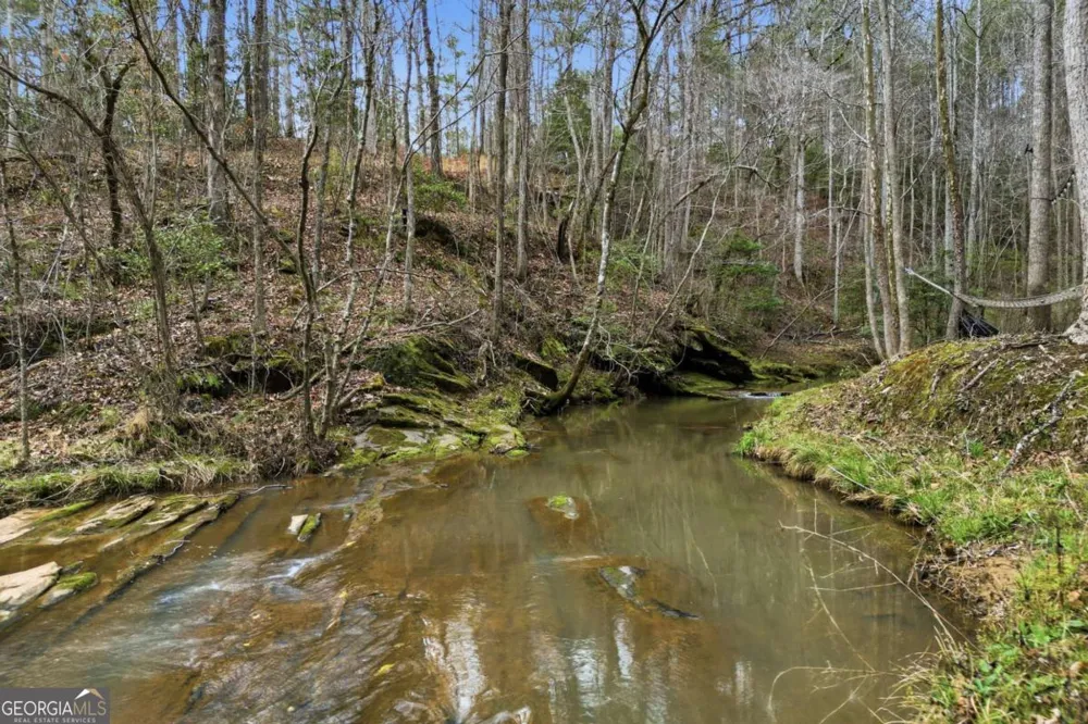 2025 Soap Creek RD Ball Ground, GA 30107