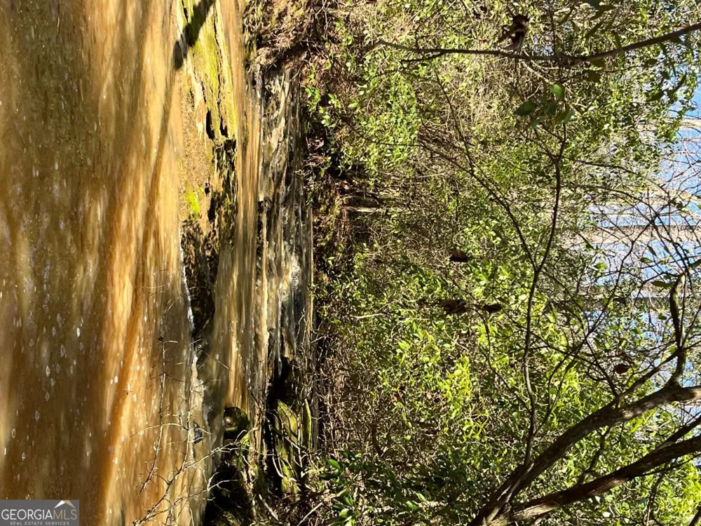 2025 Soap Creek RD Ball Ground, GA 30107