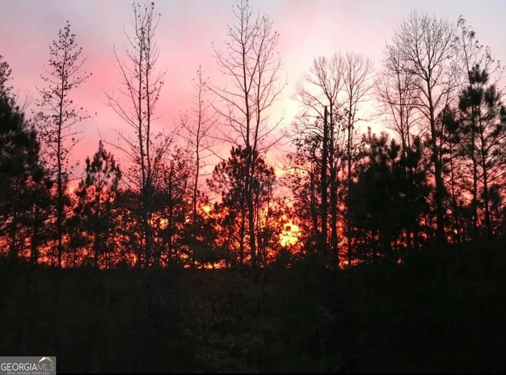 2025 Soap Creek RD Ball Ground, GA 30107