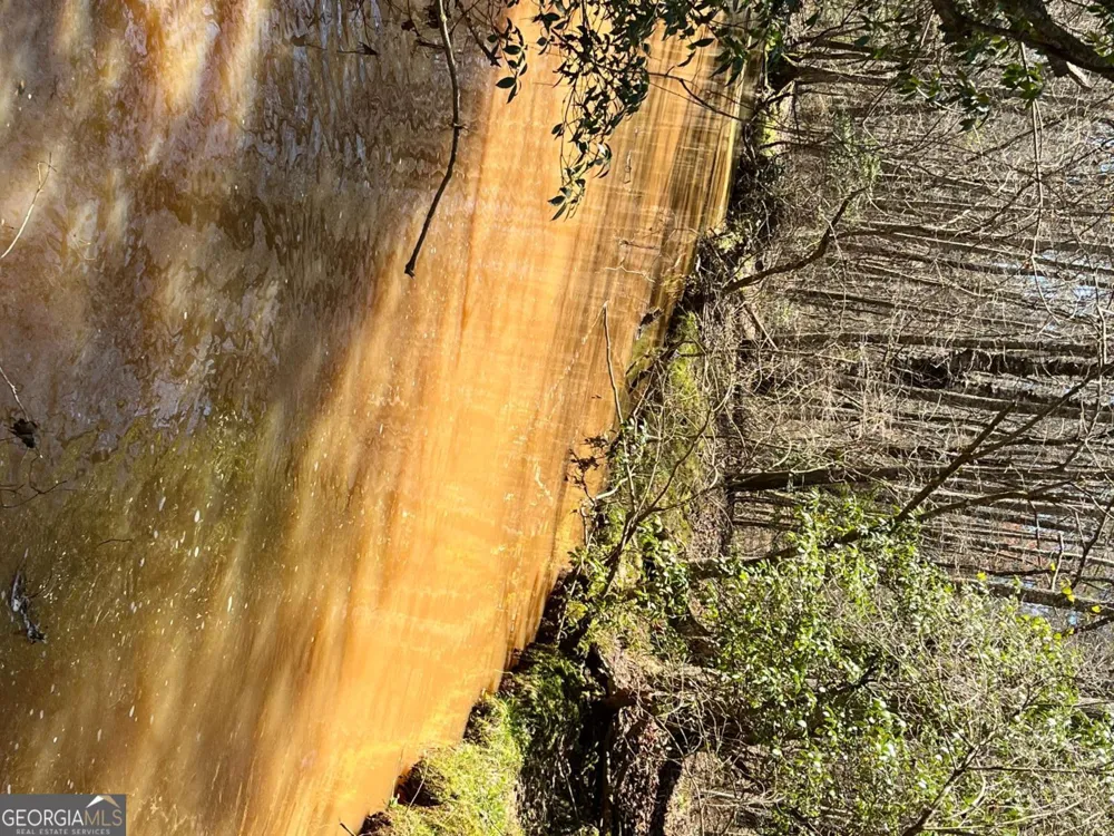 2025 Soap Creek RD Ball Ground, GA 30107