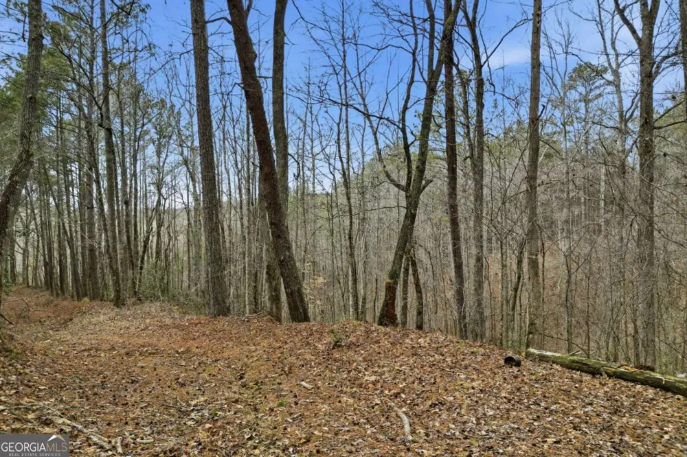 2025 Soap Creek RD Ball Ground, GA 30107