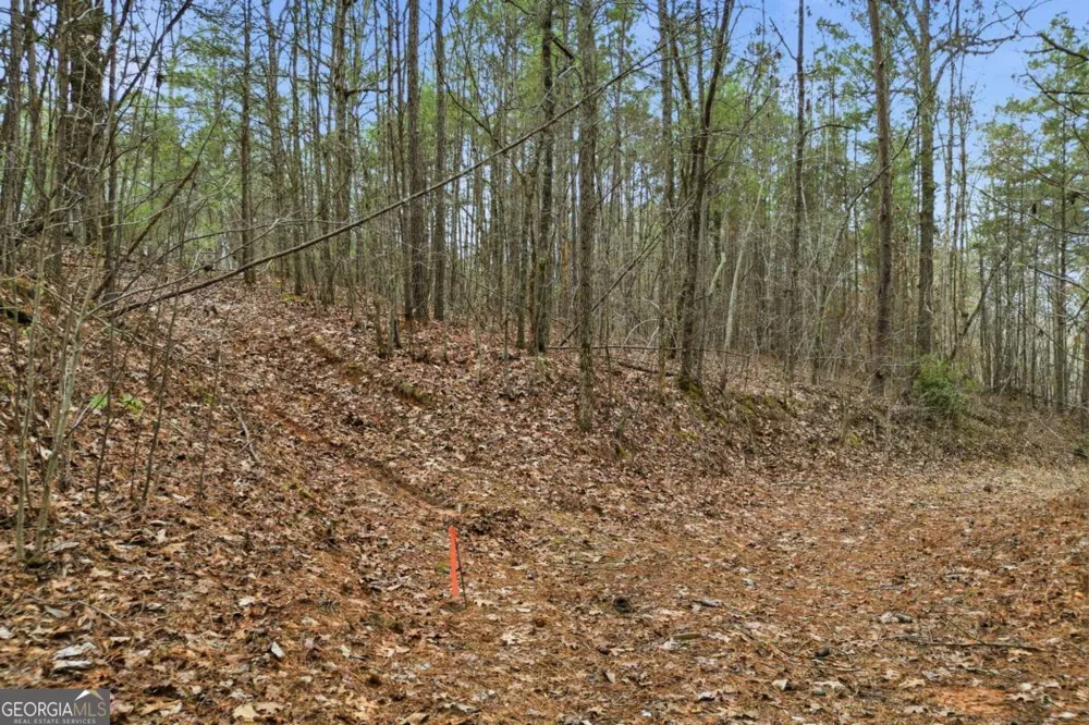 2025 Soap Creek RD Ball Ground, GA 30107