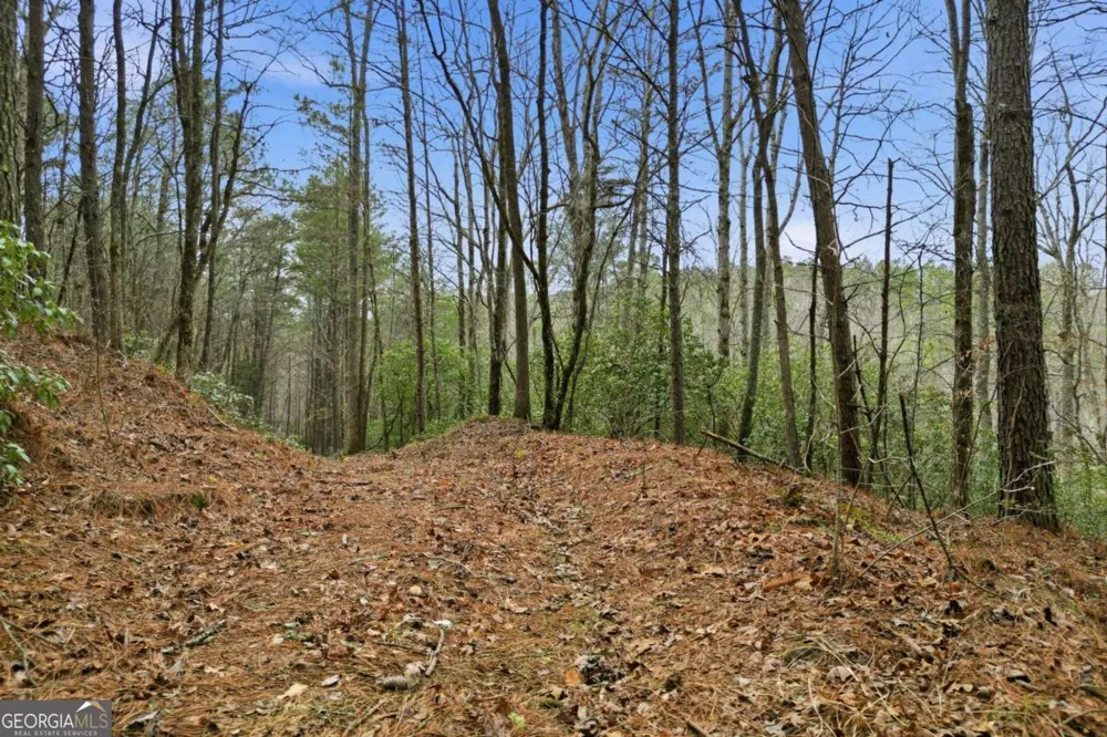 2025 Soap Creek RD Ball Ground, GA 30107