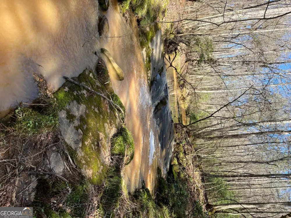 2025 Soap Creek RD Ball Ground, GA 30107