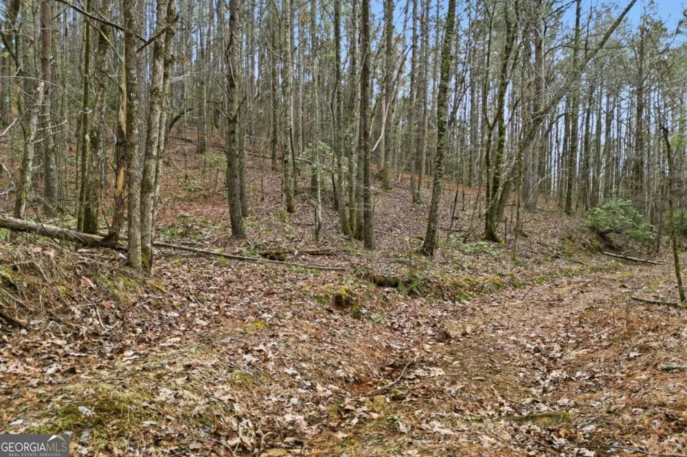 2025 Soap Creek RD Ball Ground, GA 30107