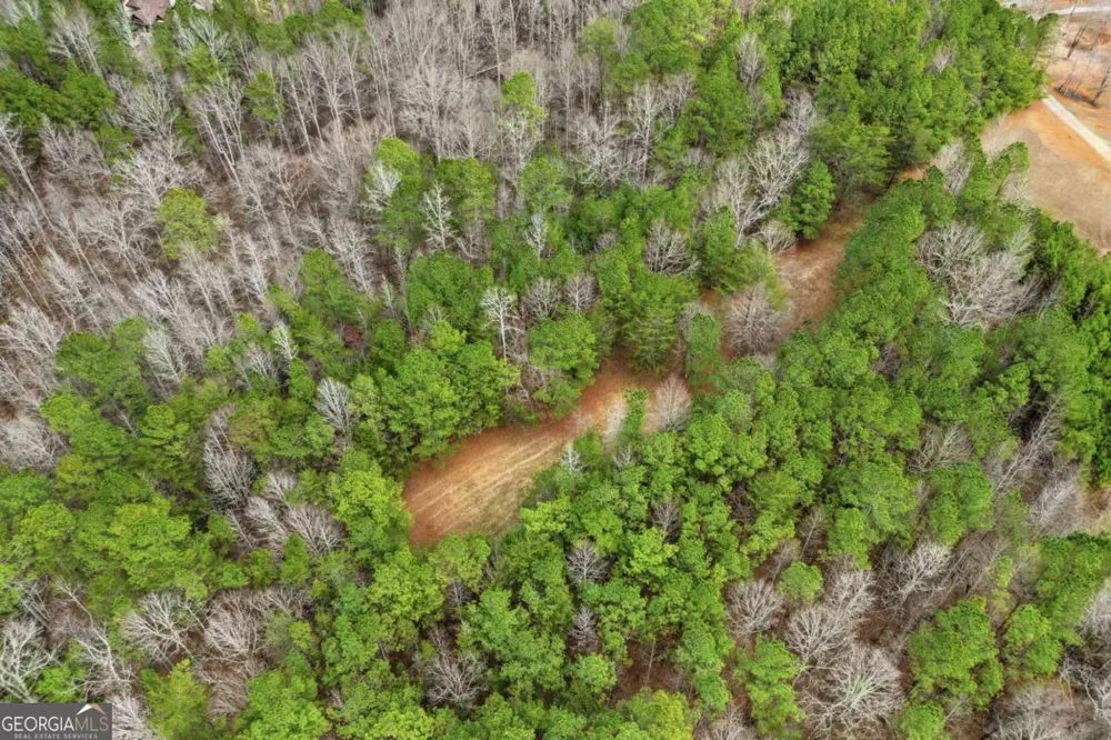 2025 Soap Creek RD Ball Ground, GA 30107