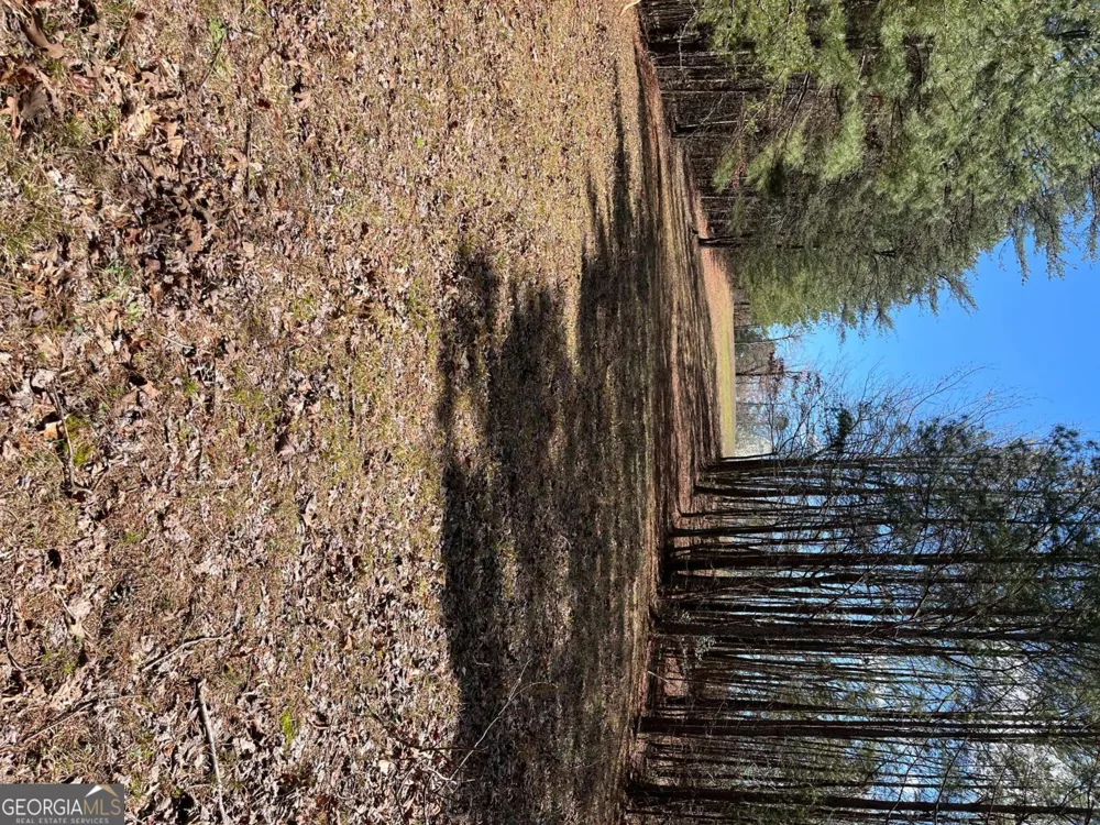 2025 Soap Creek RD Ball Ground, GA 30107