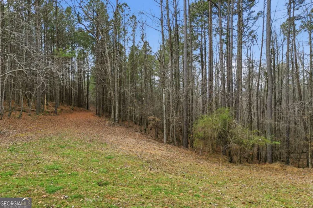 2025 Soap Creek RD Ball Ground, GA 30107