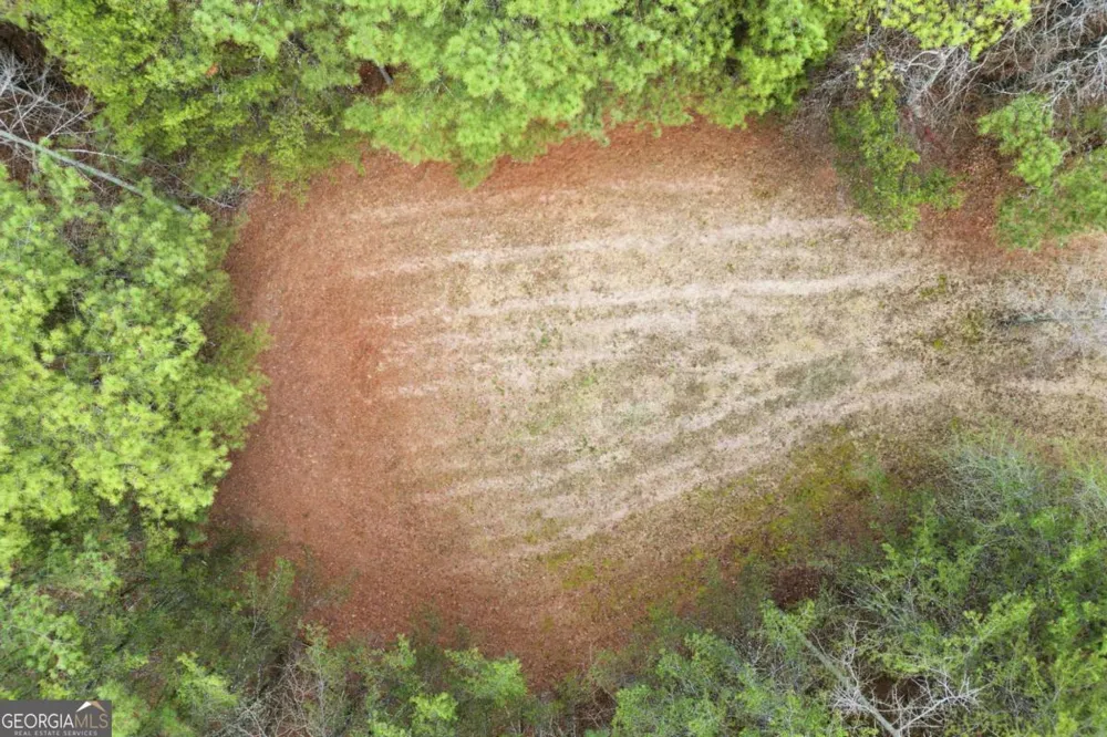 2025 Soap Creek RD Ball Ground, GA 30107