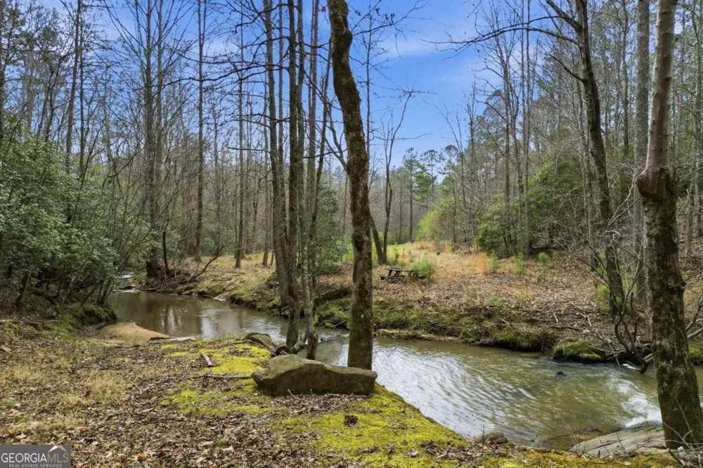 2025 Soap Creek RD Ball Ground, GA 30107