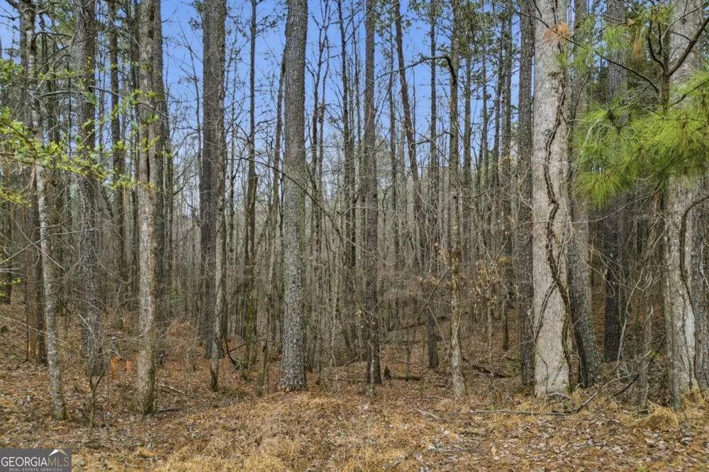 2025 Soap Creek RD Ball Ground, GA 30107