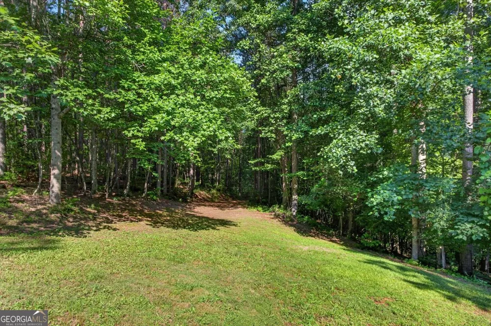 2025 Soap Creek RD Ball Ground, GA 30107