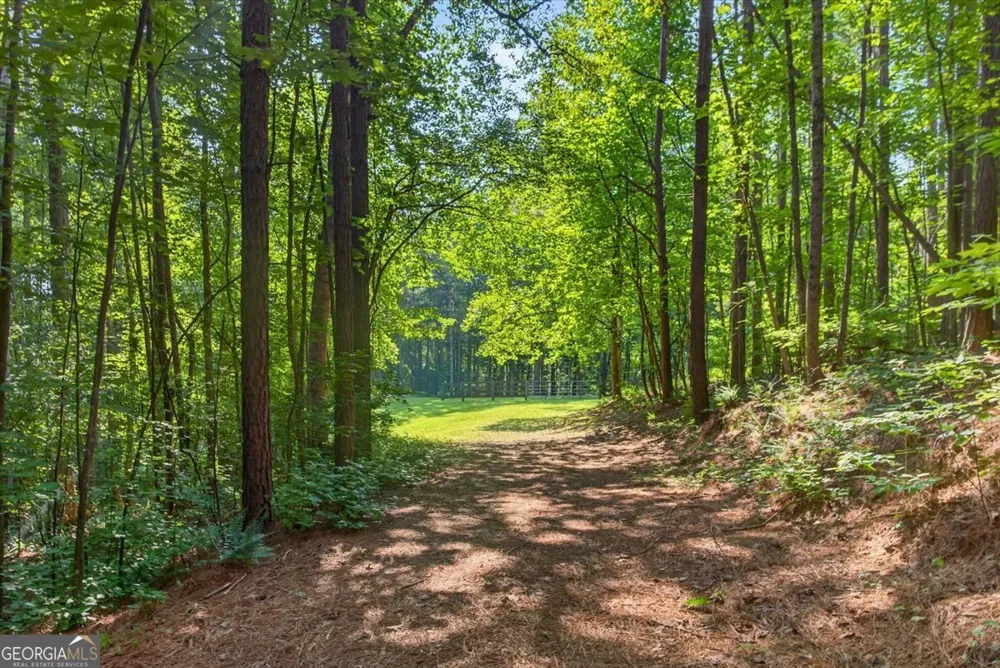 2025 Soap Creek RD Ball Ground, GA 30107