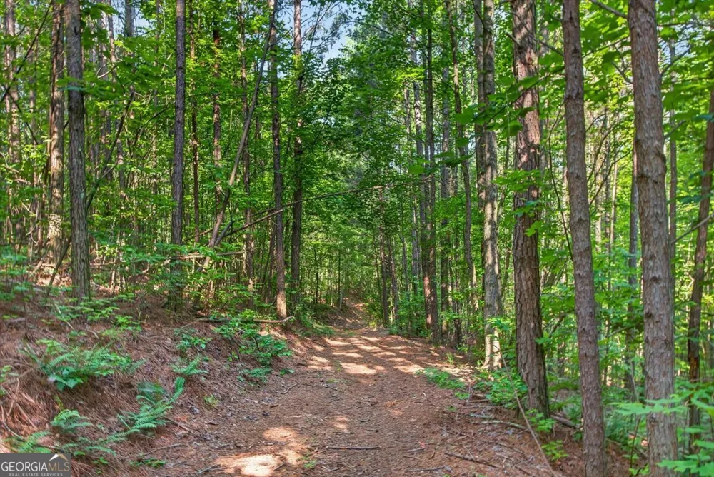 2025 Soap Creek RD Ball Ground, GA 30107