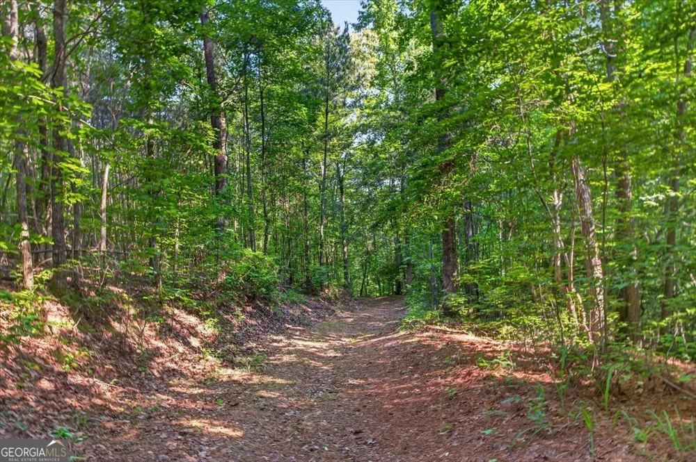 2025 Soap Creek RD Ball Ground, GA 30107