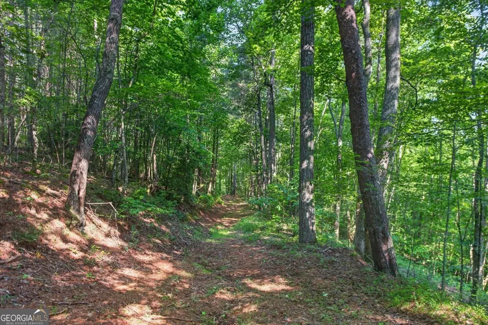 2025 Soap Creek RD Ball Ground, GA 30107