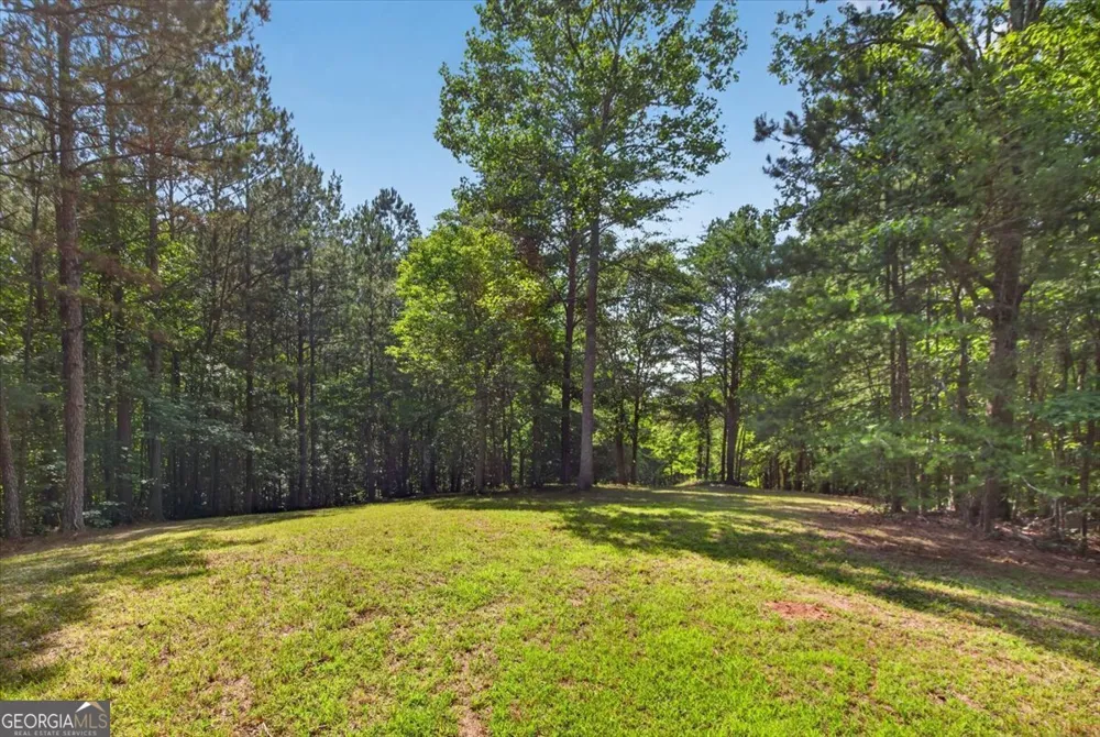 2025 Soap Creek RD Ball Ground, GA 30107