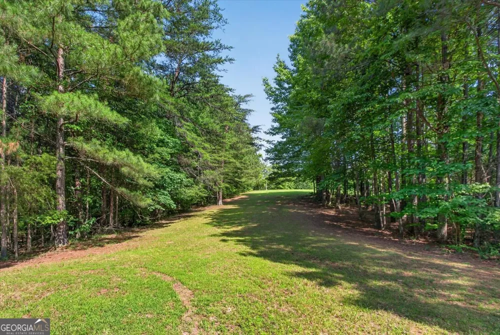 2025 Soap Creek RD Ball Ground, GA 30107