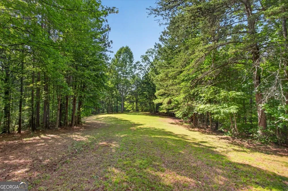 2025 Soap Creek RD Ball Ground, GA 30107