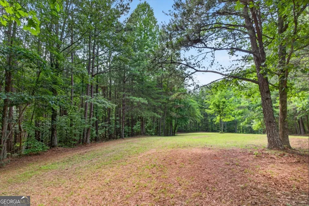 2025 Soap Creek RD Ball Ground, GA 30107