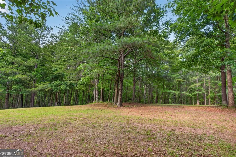 2025 Soap Creek RD Ball Ground, GA 30107