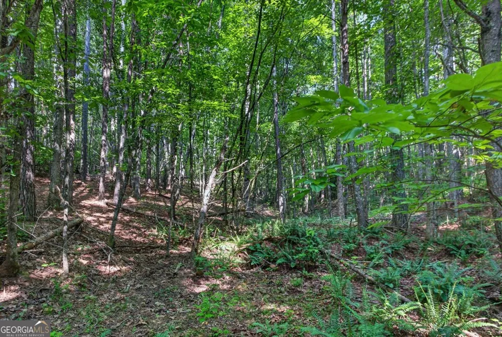 2025 Soap Creek RD Ball Ground, GA 30107