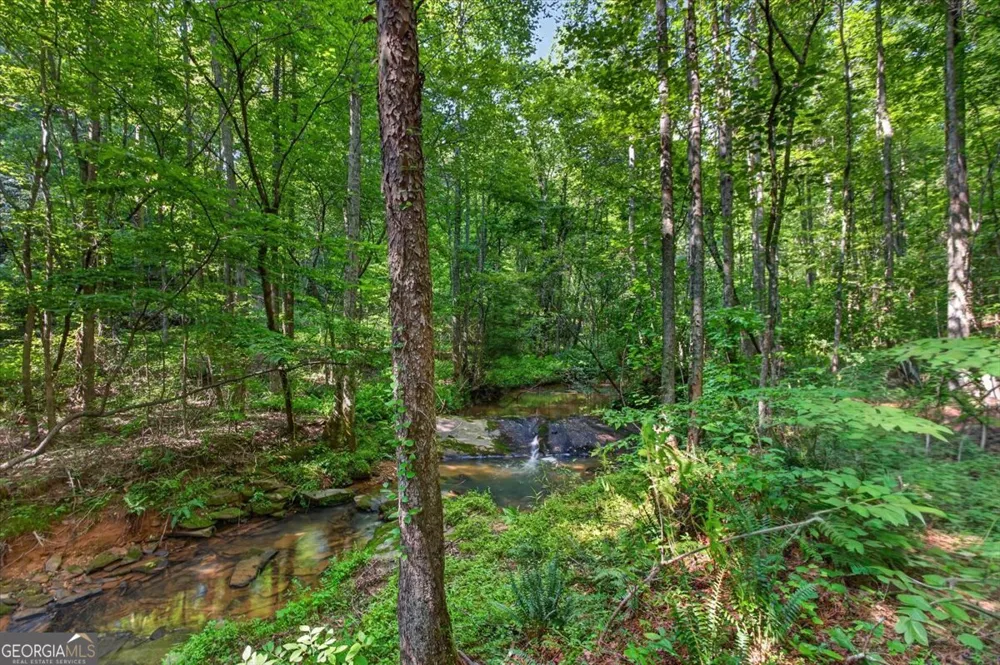 2025 Soap Creek RD Ball Ground, GA 30107