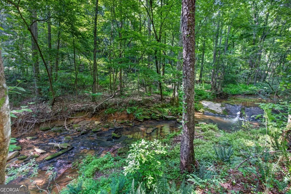 2025 Soap Creek RD Ball Ground, GA 30107