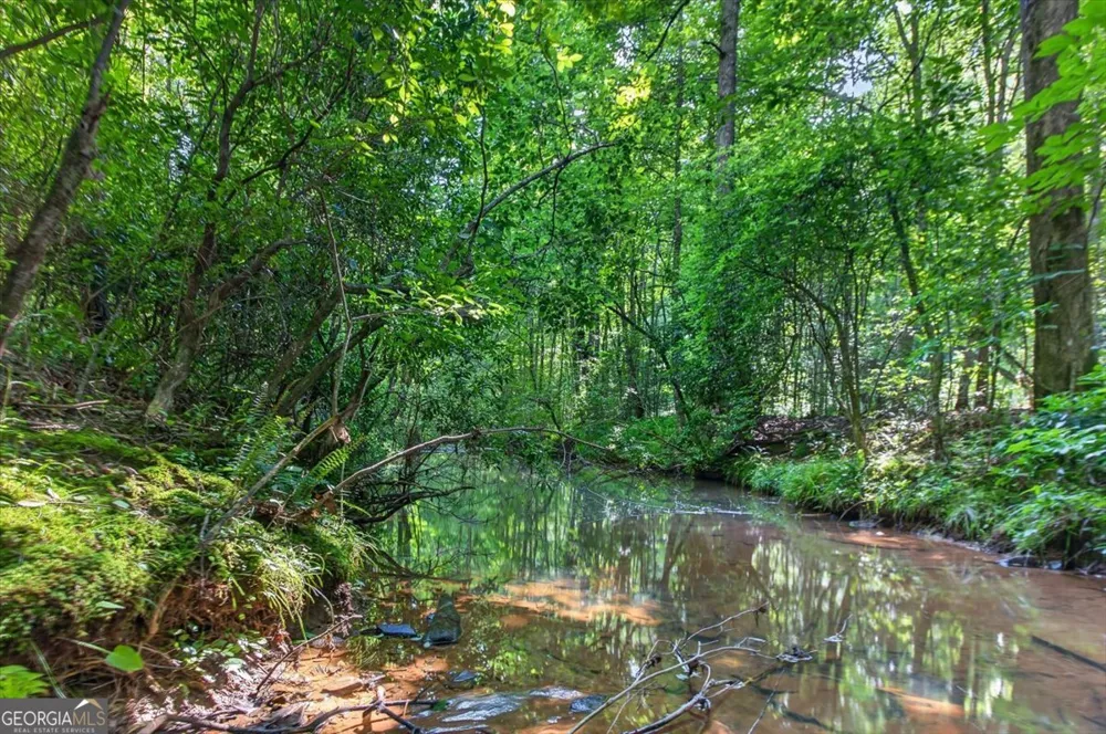 2025 Soap Creek RD Ball Ground, GA 30107