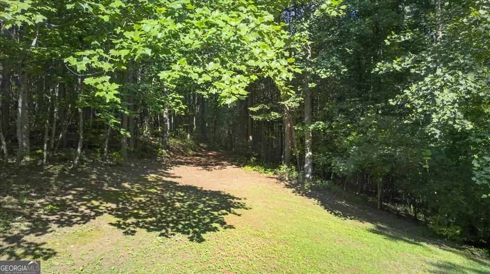 2025 Soap Creek RD Ball Ground, GA 30107