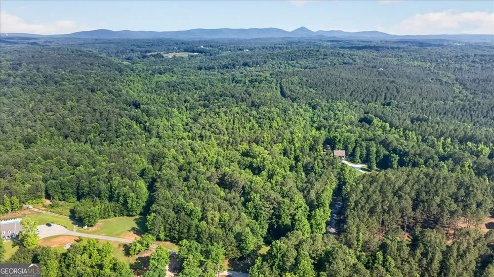 2025 Soap Creek RD Ball Ground, GA 30107
