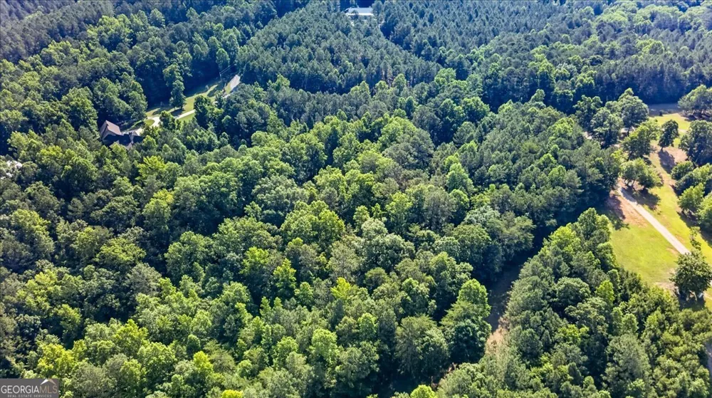 2025 Soap Creek RD Ball Ground, GA 30107