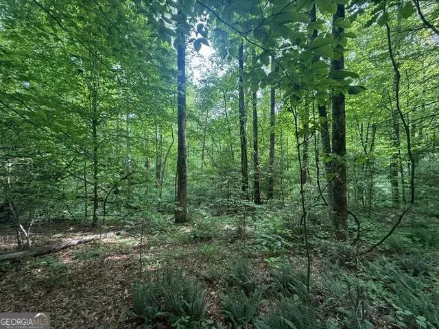 389 Fox Trot RD Clayton, GA 30525