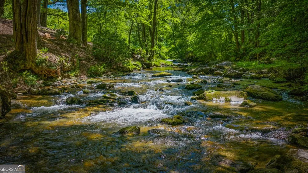 2100 Big Creek RD Cherry Log, GA 30522