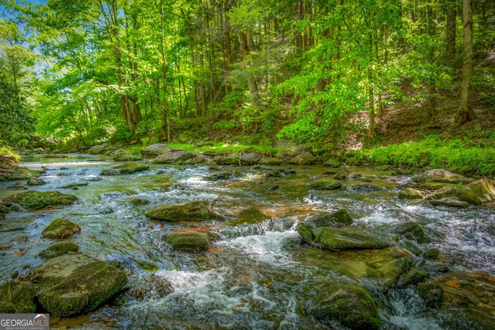 2100 Big Creek RD Cherry Log, GA 30522