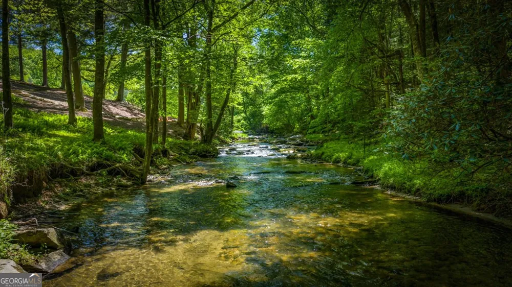 2100 Big Creek RD Cherry Log, GA 30522