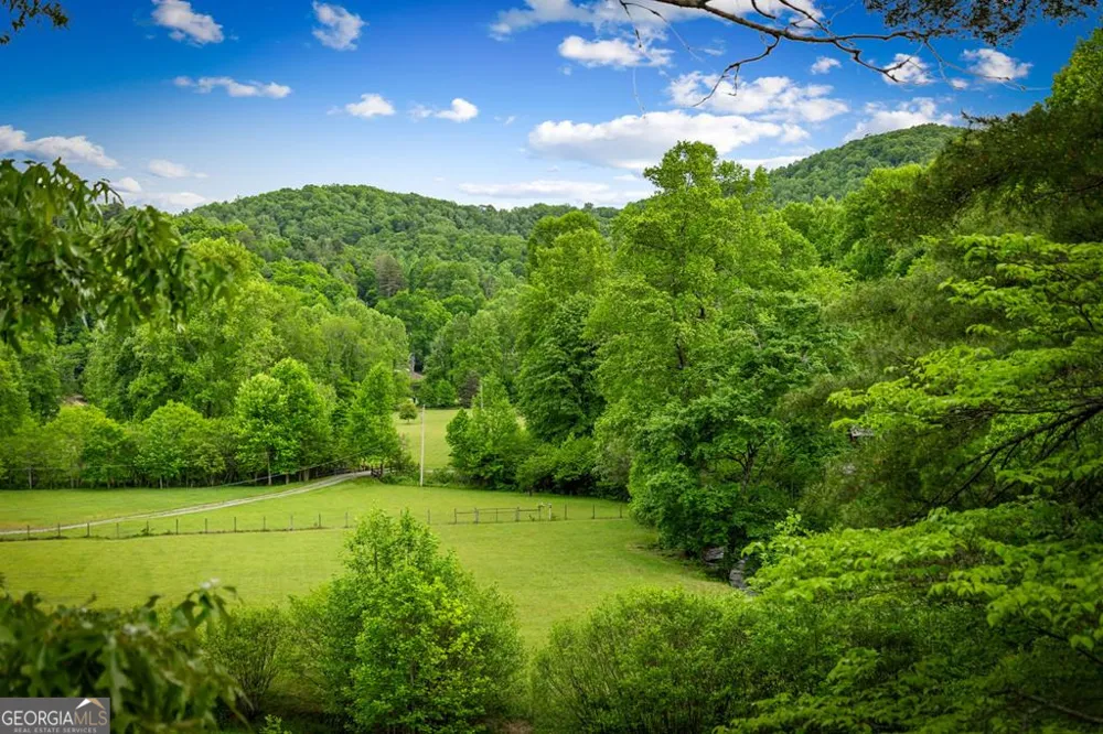 2100 Big Creek RD Cherry Log, GA 30522