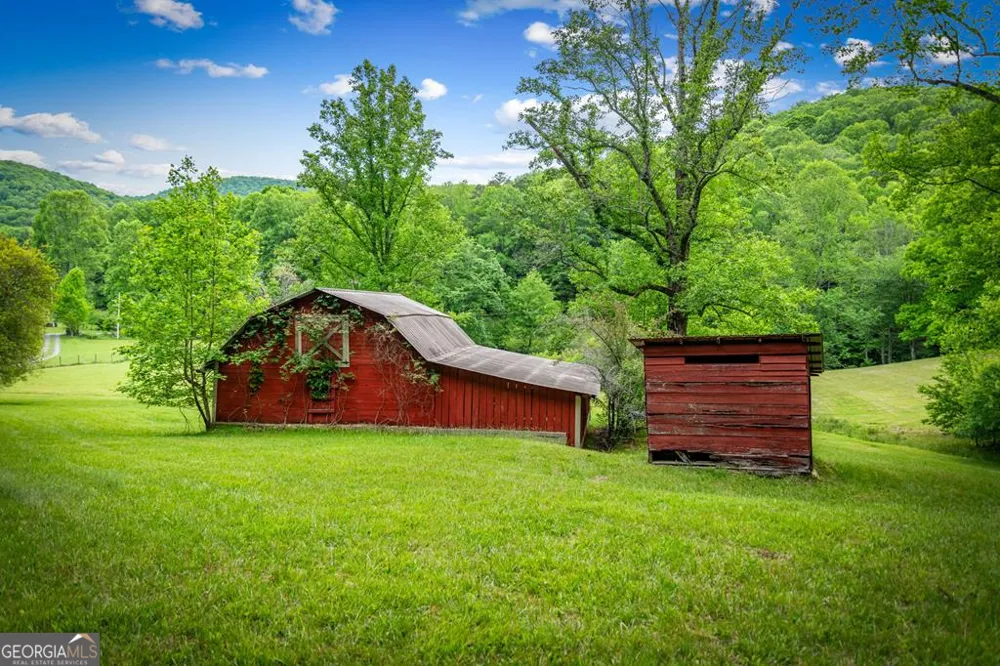 2100 Big Creek RD Cherry Log, GA 30522
