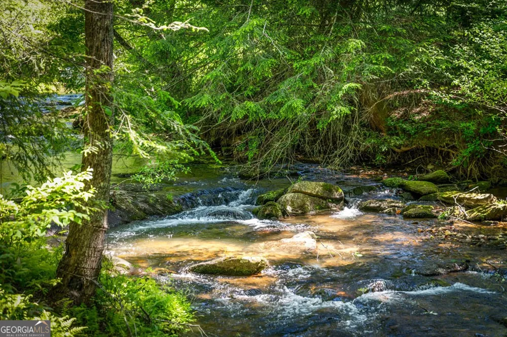 2100 Big Creek RD Cherry Log, GA 30522