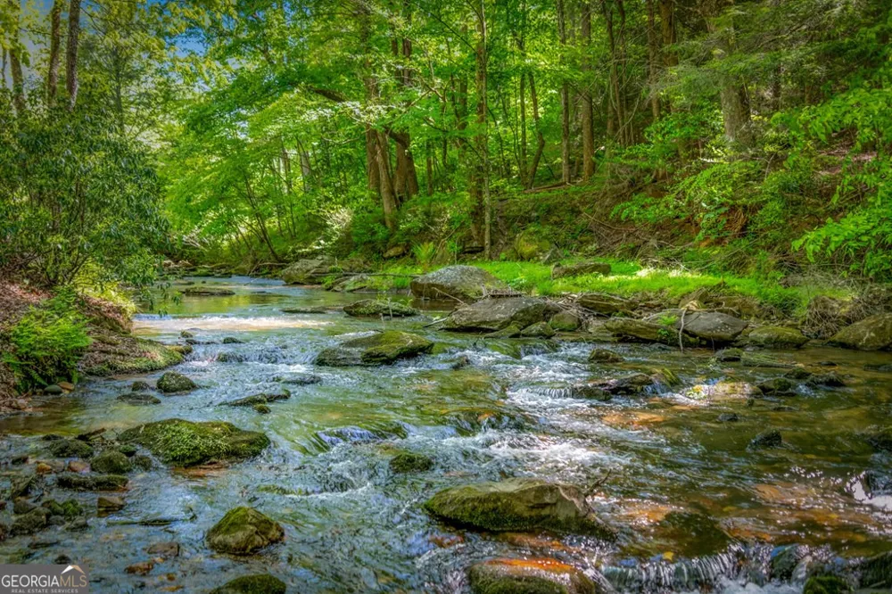 2100 Big Creek RD Cherry Log, GA 30522